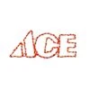 Holiday Bright Lights LED Red ACE Sign 19 In. Yard Decor