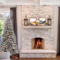 Celebrations 7-1/2 Ft. Slim Incandescent 300 Lights Flocked Fir Christmas Tree 7 Celebrations 7-1/2 Ft. Slim Incandescent 300 Lights Flocked Fir Christmas Tree -Alpine Sales Store 0e3eddf9 bc4d 41a2 ab63 101c9a66c9c1