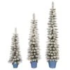Celebrations 5 Ft. Slim Flocked Pencil Christmas Tree 1 Celebrations 5 Ft. Slim Flocked Pencil Christmas Tree -Alpine Sales Store 1225ec67 d643 4c2b 9cea 21a125587f68