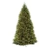 National Tree 12 Ft. Full Incandescent 1200 Ct Dunhill Fir Christmas Tree -Alpine Sales Store 22d80626 54e6 4dfb b0e5 15dd9a979b44