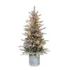 Puleo International 4-1/2 Ft. Slim Incandescent 70 Ct Potted Flocked Arctic Fir Christmas Tree 2 Puleo International 4-1/2 Ft. Slim Incandescent 70 Ct Potted Flocked Arctic Fir Christmas Tree -Alpine Sales Store 381f97cf bde7 4c04 8c2e 2e6496663043