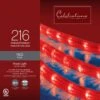 Celebrations Incandescent Mini Red 216 Ct Rope Christmas Lights 18 Ft.