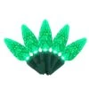 Holiday Bright Lights LED C6 Green 100 Ct String Christmas Lights 50 Ft. 1 Holiday Bright Lights LED C6 Green 100 Ct String Christmas Lights 50 Ft. -Alpine Sales Store 41cf4e5a e21a 46e6 aa1d 30e053906077