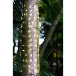 Celebrations Platinum LED Mini Warm White 100 Ct Net Christmas Lights 6 Ft. 8 Celebrations Platinum LED Mini Warm White 100 Ct Net Christmas Lights 6 Ft. -Alpine Sales Store 46ce05aa 5a67 40cd 8b1b edb57eebfd09