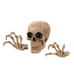 Dragon Crest 5.75 In. 3D Wall Skeleton Halloween Decor