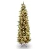 National Tree Company 7-1/2 Ft. Slim Incandescent 600 Ct Carolina Pine Christmas Tree 2 National Tree Company 7-1/2 Ft. Slim Incandescent 600 Ct Carolina Pine Christmas Tree -Alpine Sales Store 4b6a20ec 2977 49bb 8910 be3bf3597ca0
