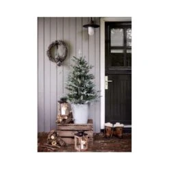 Celebrations 4 Ft. Full LED 80 Ct Misty Allison Pine Christmas Tree -Alpine Sales Store 54b52665 54aa 49cb 91d7 33ba6cb1a8ef