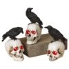 Gerson 8 In. Prelit Skull With Crow Halloween Decor -Alpine Sales Store 63d2e997 e96c 4d84 afb7 6e8a5ee6a93c