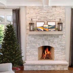 Celebrations 7 Ft. Slim LED 400 Ct Fraser Fir Color Changing Christmas Tree -Alpine Sales Store 67c28d20 8bd4 48d3 87e9 25ae16a573c8