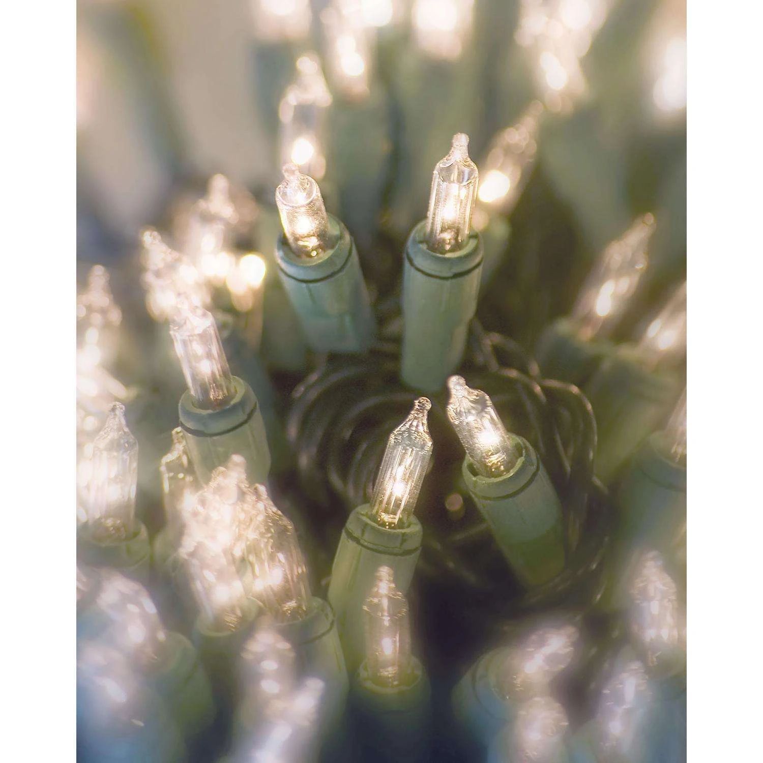 Celebrations Incandescent Mini Clear/Warm White 300 Ct String Christmas Lights 62 Ft. 5 Celebrations Incandescent Mini Clear/Warm White 300 Ct String Christmas Lights 62 Ft. - Image 3