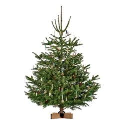 Krinner Kopenhagen Metal/Wood Real Christmas Tree Stand 8 Ft. 9 Krinner Kopenhagen Metal/Wood Real Christmas Tree Stand 8 Ft. -Alpine Sales Store 6b124c16 cd05 4938 a370 45ddd6f0fdb9