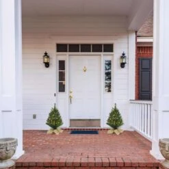 Celebrations 2 Ft. Full Incandescent 35 Ct Table Top Christmas Tree -Alpine Sales Store 6dc34c78 57c5 4181 9cc2 7b4340601262