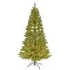 Celebrations 7 Ft. Slim LED 3080 Ct Deluxe Dalton Christmas Tree