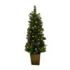 Celebrations Platinum 4 Ft. Slim LED 50 Lights Mixed Cedar Pine Christmas Tree