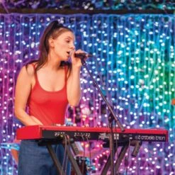 Holiday Bright Lights Twinkly Christmas Light Accessory -Alpine Sales Store 75233926 02e2 4fc3 a7c5 1c98d5cc550a