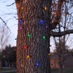 Celebrations Platinum LED Mini Multicolored 100 Ct Net Christmas Lights 6 Ft. -Alpine Sales Store 81bf2d78 4a79 4f38 9d10 eaf63e9c58d4