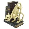 Touch Of Nature 6 In. Cat Skeleton With Books Halloween Decor -Alpine Sales Store 879a3982 7795 40a8 9b3e 6ac9c7eee17e