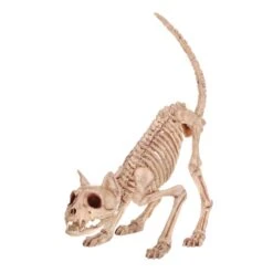 Seasons 7.5 In. Cat Skeleton Halloween Decor