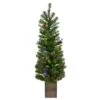 Celebrations 4 Ft. Slim LED 50 Ct Mixed Pine Color Changing Entrance Tree -Alpine Sales Store 9b9e30e6 bb93 4333 9a05 7b4071a040db