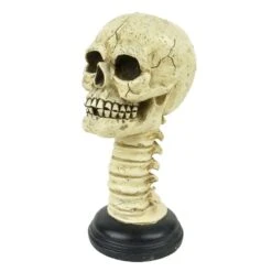 Touch Of Nature 9.5 In. Skull With Spine Halloween Decor