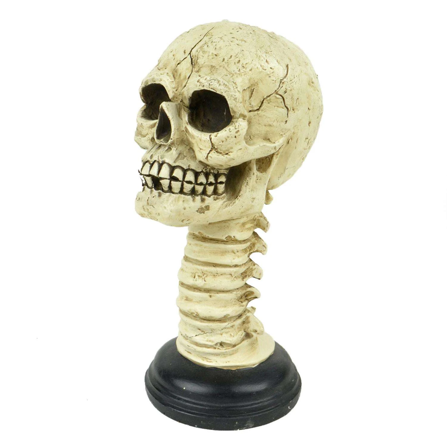 Touch Of Nature 9.5 In. Skull With Spine Halloween Decor 3 Touch Of Nature 9.5 In. Skull With Spine Halloween Decor