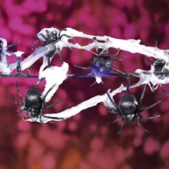 Celebrations Purple 20 Ct LED Prelit Spider With Webbing Lights -Alpine Sales Store a87c3a45 ee50 4443 a1dc 04c2dd9021a4