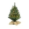 Celebrations 2 Ft. Full Incandescent 35 Ct Table Top Christmas Tree -Alpine Sales Store b4a0a3ac 6eb6 4bd0 aad9 7a8806165c79