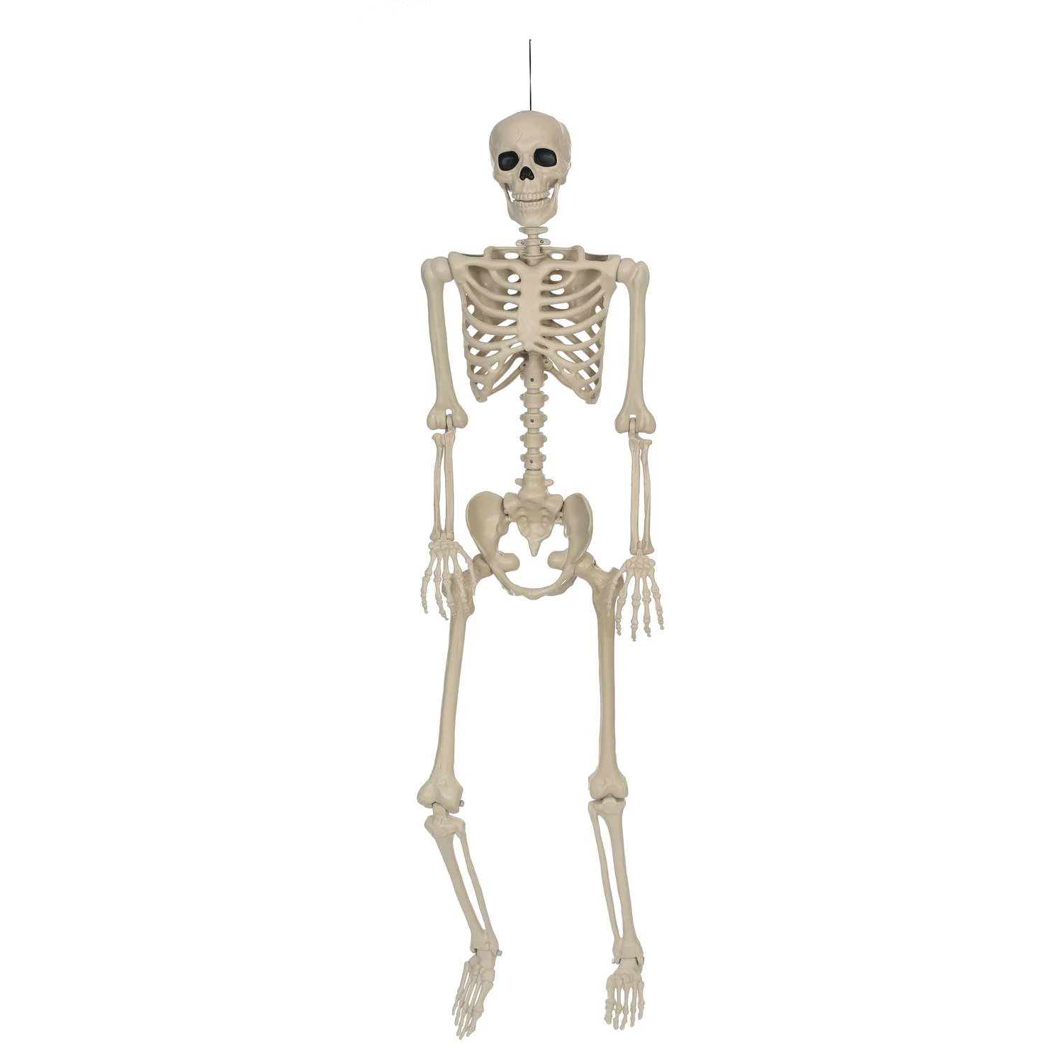 Seasons 5 Ft. Human Skeleton Hanging Decor 3 Seasons 5 Ft. Human Skeleton Hanging Decor
