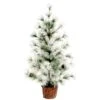 Celebrations Green/White Frosted Christmas Tree 24 In. -Alpine Sales Store b9f3c247 cc0c 415a 860b efe6b63cd82a