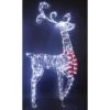 Celebrations LED Cool White Ornate Wire Buck 4 Ft. Yard Decor 2 Celebrations LED Cool White Ornate Wire Buck 4 Ft. Yard Decor -Alpine Sales Store c1dd0304 0a06 4817 bed1 74724c03be2e