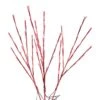 Celebrations LED Red Lighted Red Twigs 32 In. Yard Decor 2 Celebrations LED Red Lighted Red Twigs 32 In. Yard Decor -Alpine Sales Store c4647267 2efa 4716 80b2 b8a3f2180309