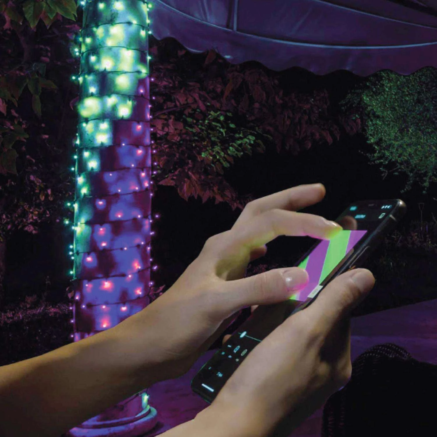 Twinkly LED Micro/5mm Multicolored 250 Ct String Christmas Lights 65.5 Ft. 7 Twinkly LED Micro/5mm Multicolored 250 Ct String Christmas Lights 65.5 Ft. - Image 5