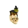 Touch Of Nature 9 In. Frog Sitting On Skull Halloween Decor -Alpine Sales Store cef6cc81 14a2 4f97 bbf8 7ca1c4701b7d