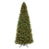 Celebrations 9 Ft. Full Incandescent 1500 Ct Illuminated Grand Fir Christmas Tree 2 Celebrations 9 Ft. Full Incandescent 1500 Ct Illuminated Grand Fir Christmas Tree -Alpine Sales Store da4d57a4 9cff 4a89 a2da c262530f59d7