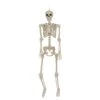 Seasons 5 Ft. Skeleton Halloween Decor -Alpine Sales Store e4524c1b 79fb 4383 a2eb be60d3e0eefb