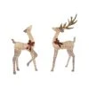 Celebrations LED Warm White Buck/Doe 6 Ft. Yard Decor