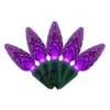 Celebrations Purple 100 Ct LED C6 Halloween String Lights 1 Celebrations Purple 100 Ct LED C6 Halloween String Lights -Alpine Sales Store f06dc71c a7e1 48fe 812d e34fcff471d8