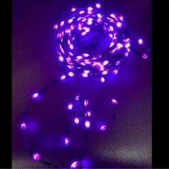 Celebrations Orange/Purple 100 Ct LED Ribbon Lights -Alpine Sales Store f5f42385 ead8 43bf a853 8912684be2b2
